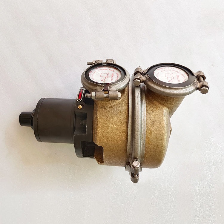 3074540 Bomba de agua de mar Cummins K19 KTA19